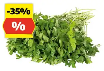 Hofer HOFER MARKTPLATZ Petersilie, 200 g Angebot