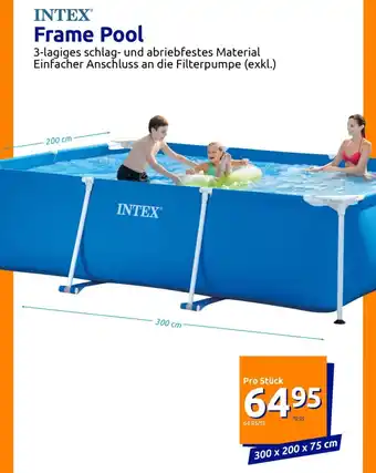 Action INTEX Frame Pool Angebot
