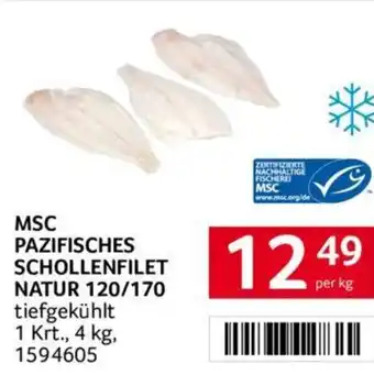 Transgourmet MSC PAZIFISCHES SCHOLLENFILET NATUR 120/170 Angebot