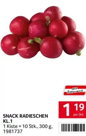 Transgourmet SNACK RADIESCHEN KL.1 300g Angebot