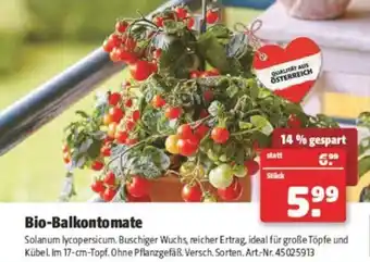 Hagebau Bio-Balkontomate Angebot