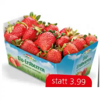 Spar Spar Natur pur fruchtige Bio-Erdbeeren SPAR 400 Gramm 1 Packung Angebot