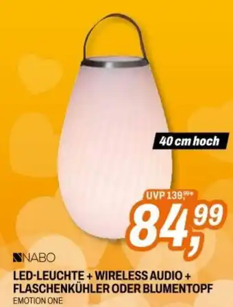 Expert LED-LEUCHTE + WIRELESS AUDIO + FLASCHENKÜHLER ODER BLUMENTOPF Angebot