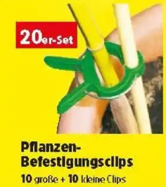 Thomas Philipps Pflanzen- Befestigungsclips Angebot
