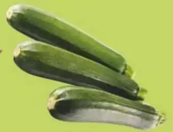 Maximarkt Zucchini Angebot