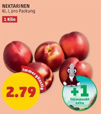PENNY NEKTARINEN 1Kilo Angebot