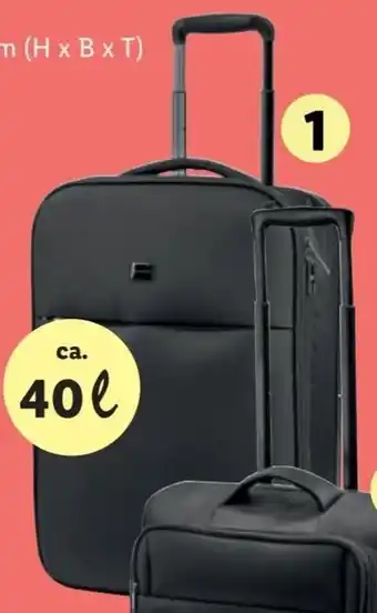 Lidl Trolley-Boardcase Faltbarer Trolley Angebot