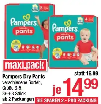 Maximarkt Pampers Dry Pants Angebot