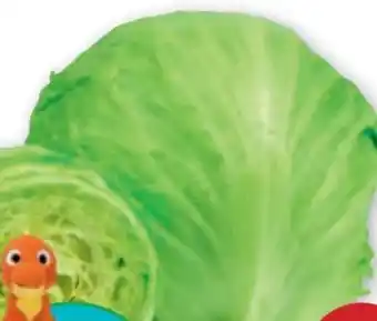 PENNY Eissalat Angebot
