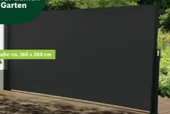 Lidl Seitenmarkise Angebot