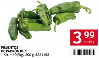 Transgourmet PIMIENTOS DE PADRÓN KL.1 Angebot