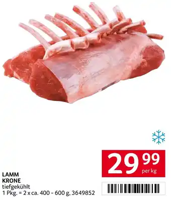 Transgourmet LAMM KRONE Angebot