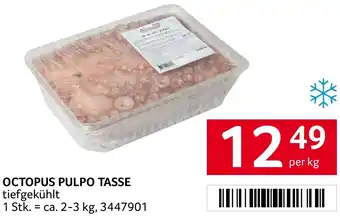 Transgourmet OCTOPUS PULPO TASSE Angebot