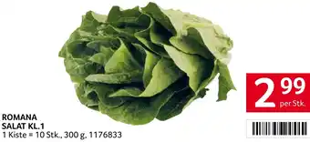 Transgourmet ROMANA SALAT KL.1 Angebot