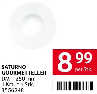 Transgourmet SATURNO GOURMETTELLER Angebot