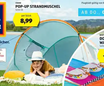 Hofer CRANE POP-UP STRANDMUSCHEL Seite 28 Angebot