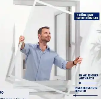 Hofer Insektenschutz-Fenster Angebot