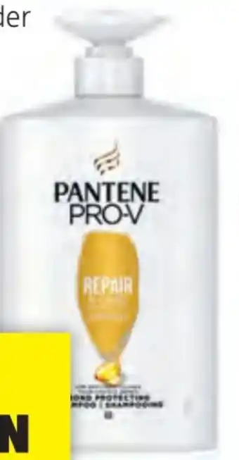 Hofer Shampoo Angebot