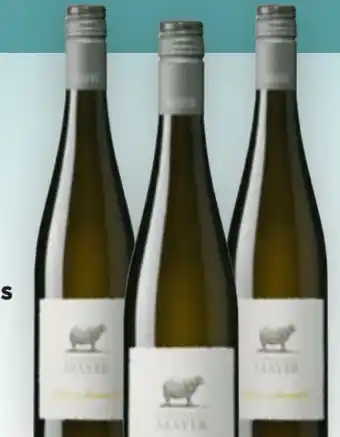 Billa Gelber Muskateller Angebot