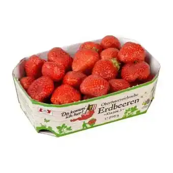 Billa Erdbeeren Angebot