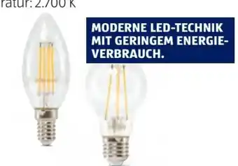 Hofer LED-Leuchtmittel Angebot