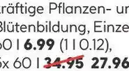 Hellweg Basic Pflanzerde torfreduziert 60 L Angebot