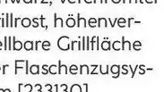 Hellweg Rothmann Holzkohlegrill Columbia Angebot