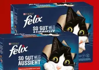 Spar Felix Katzennahrung Angebot