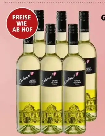 Interspar Grüner Veltliner Angebot