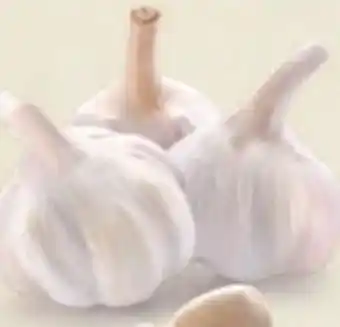 Hofer Knoblauch Angebot