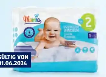 Hofer Windeln Mini Angebot