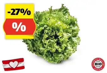 Hofer ZURÜCK ZUM URSPRUNG Bio-Spezialsalat aus Österreich Angebot