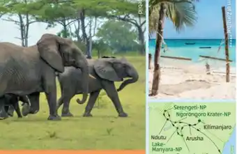 Hofer Tansania-Sansibar Safari-Baden Angebot