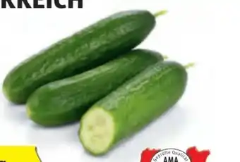 Hofer Midi Gurken Angebot