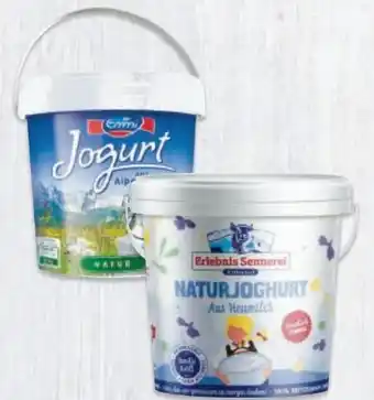 Metro Naturjoghurt Angebot