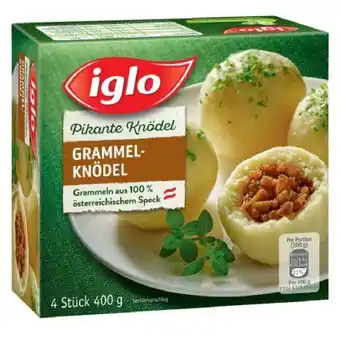 Eurospar iglo Hausmannskost pikante Knödel versch. Sorten EUROSPAR 400 Gramm 1 Packung Angebot