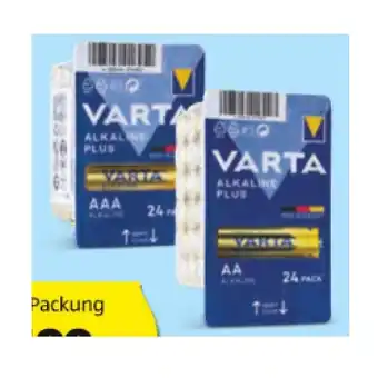 Hofer Varta Batterien Grossblister div. Sorten HOFER 24 Stück 1 Packung Angebot