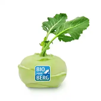 MPreis Bio vom Berg Kohlrabi MPREIS 1 Stück Angebot