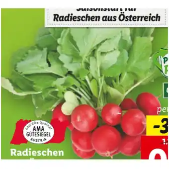 Lidl Radieschen aus Österreich Lidl 1 Bund Angebot