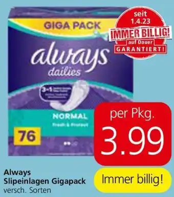 Spar Always Slipeinlagen Gigapack Angebot