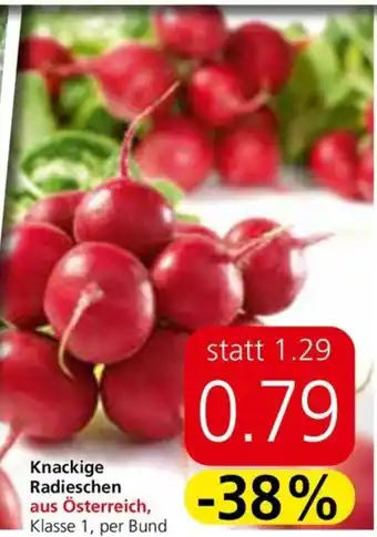 Spar Knackige Radieschen Angebot