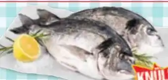 Maximarkt Goldbrasse Angebot