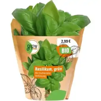 OBI Bio Basilikum Angebot