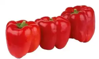 Transgourmet Paprika Angebot