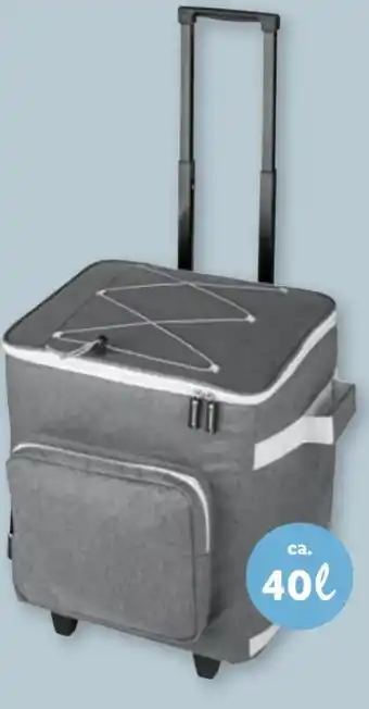 Lidl Einkaufstrolley Angebot