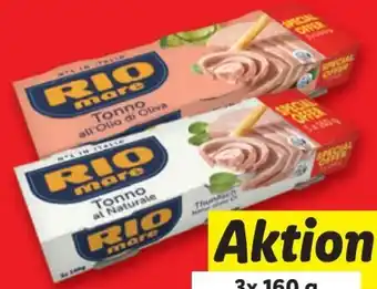 Lidl Thunfisch Angebot