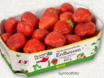 ADEG Einkoch-Erdbeeren Angebot