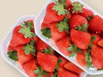 MPreis Erdbeeren Angebot