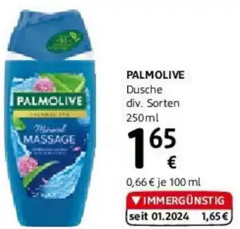 dm PALMOLIVE Dusche 250ml Angebot