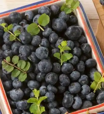 Spar Bio-Heidelbeeren Angebot